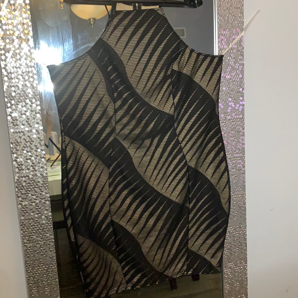 Women’s Black and Tan Mini  Dress